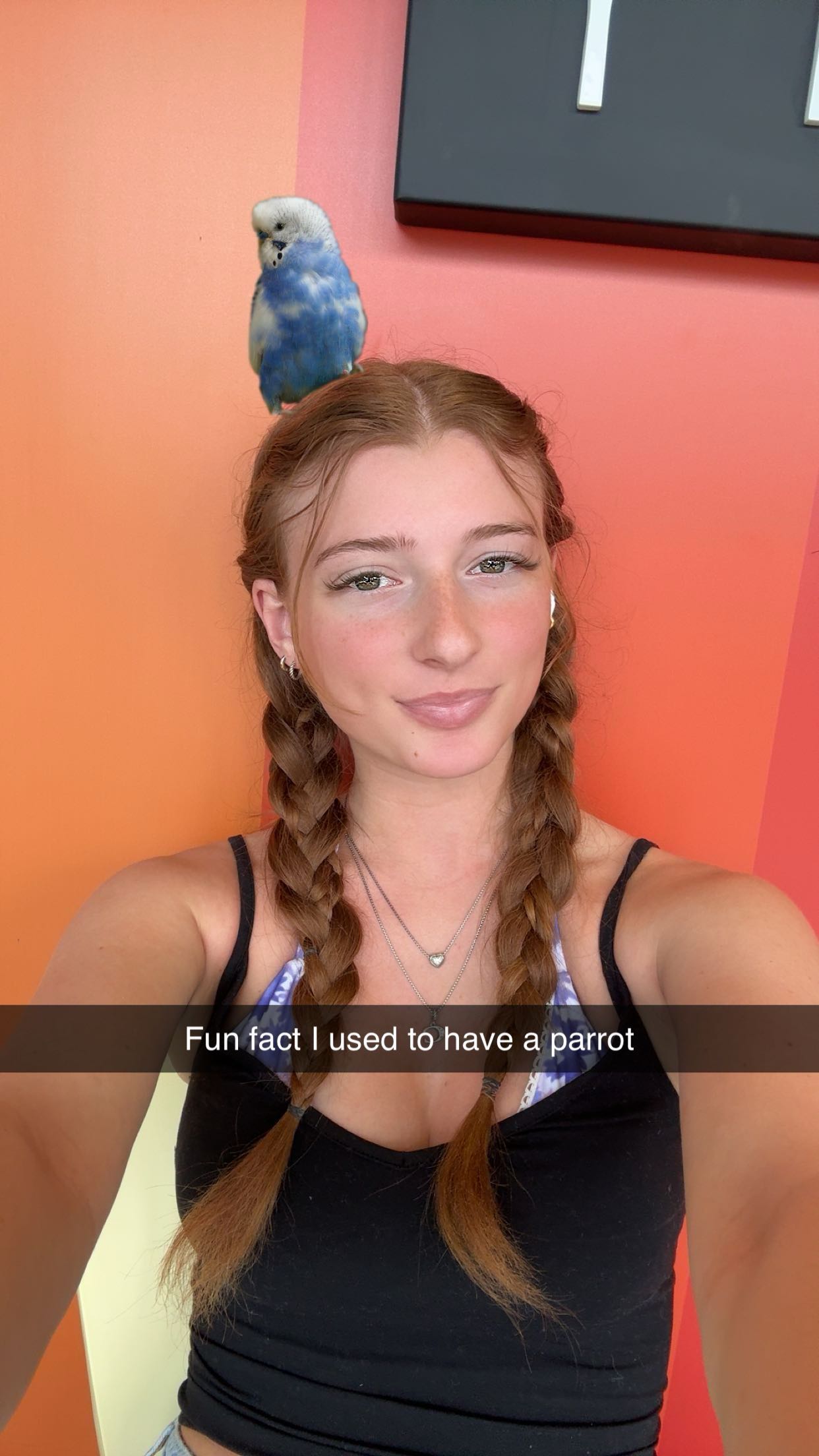 carmmieecat snapchat image archive image