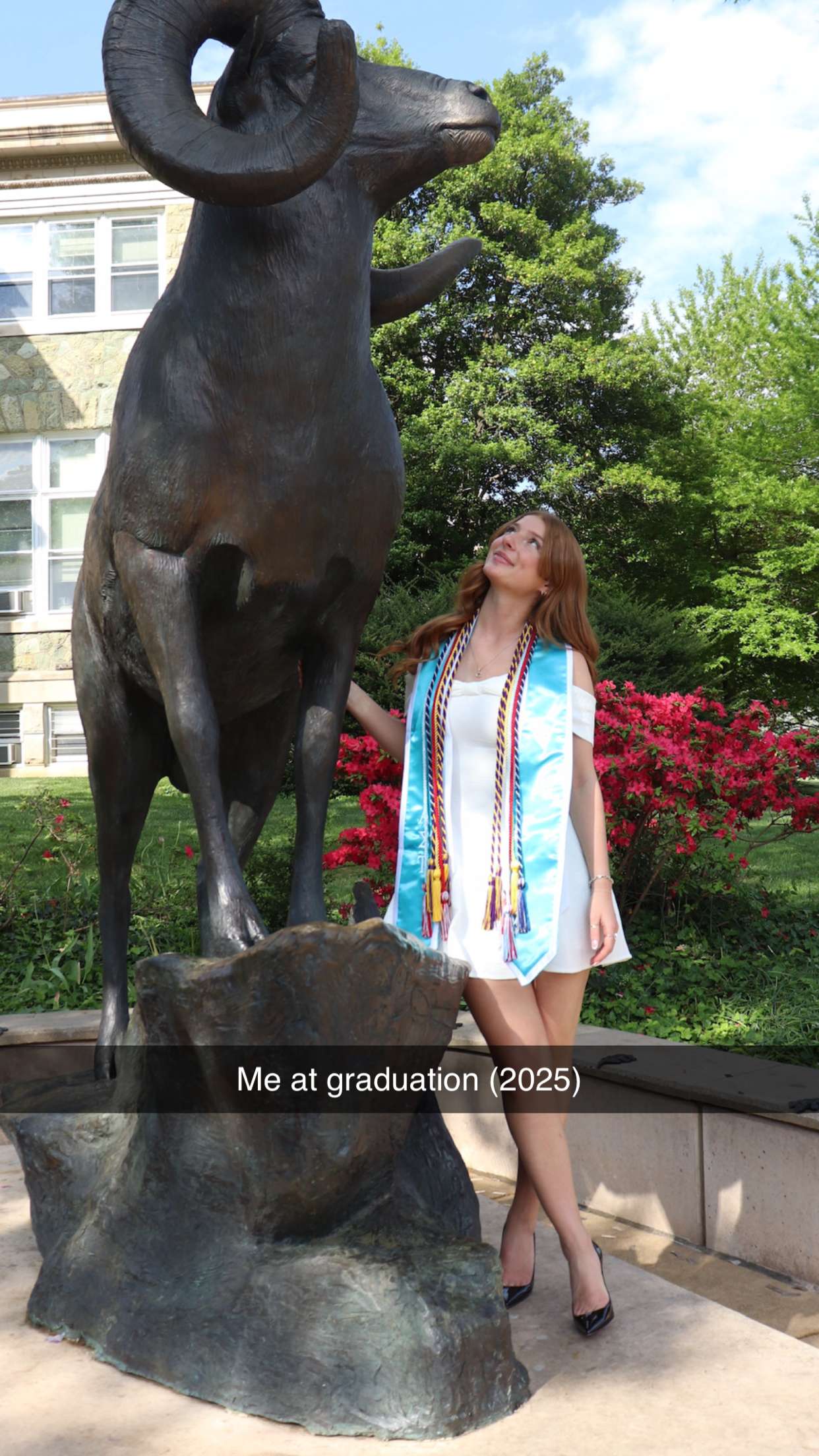 carmmieecat snapchat image archive image