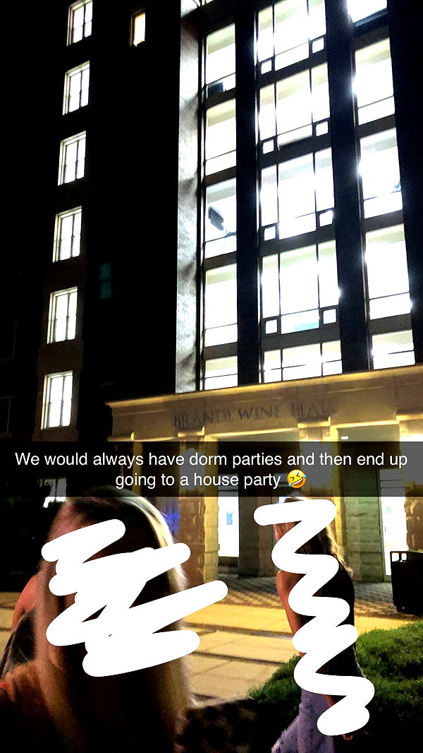 carmmieecat image ~ Altpins