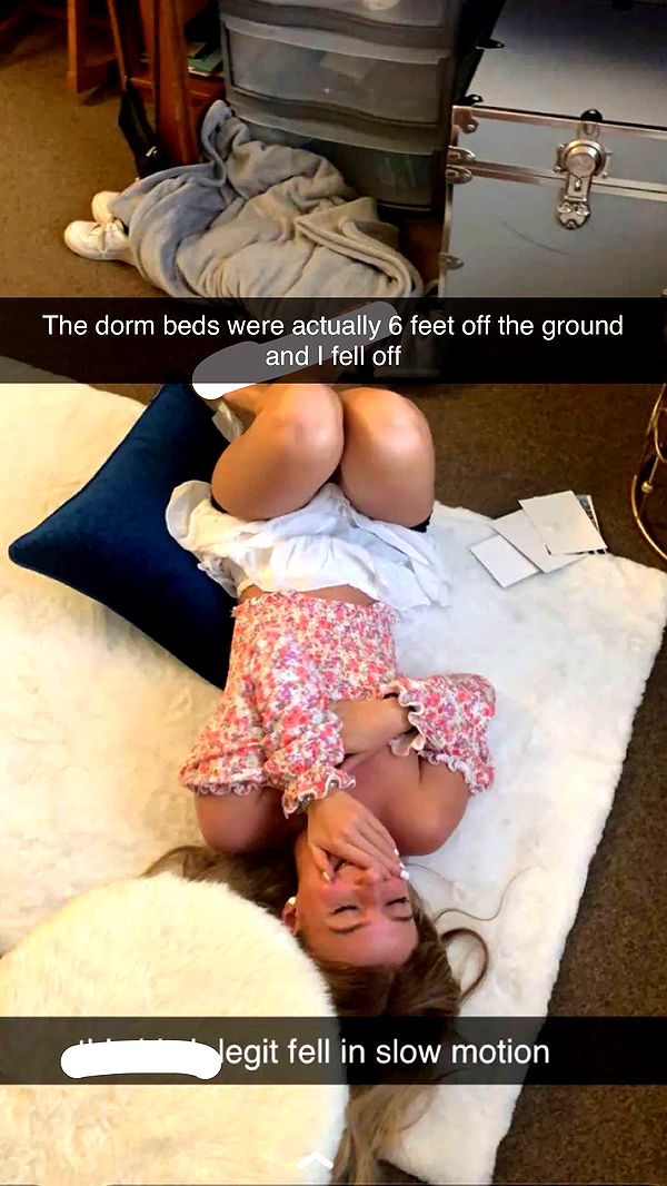 carmmieecat image ~ Altpins