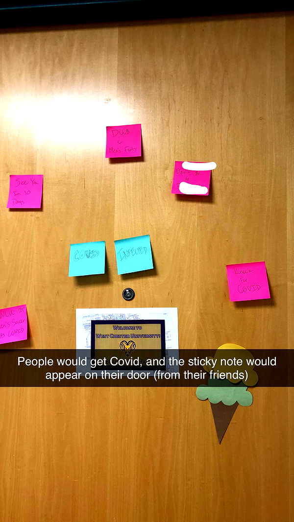 carmmieecat image ~ Altpins