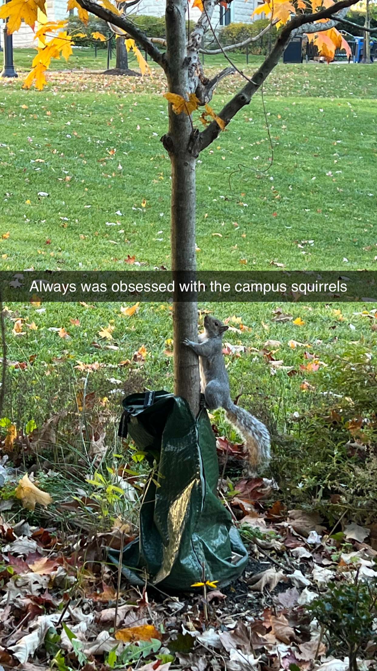 carmmieecat snapchat image archive image