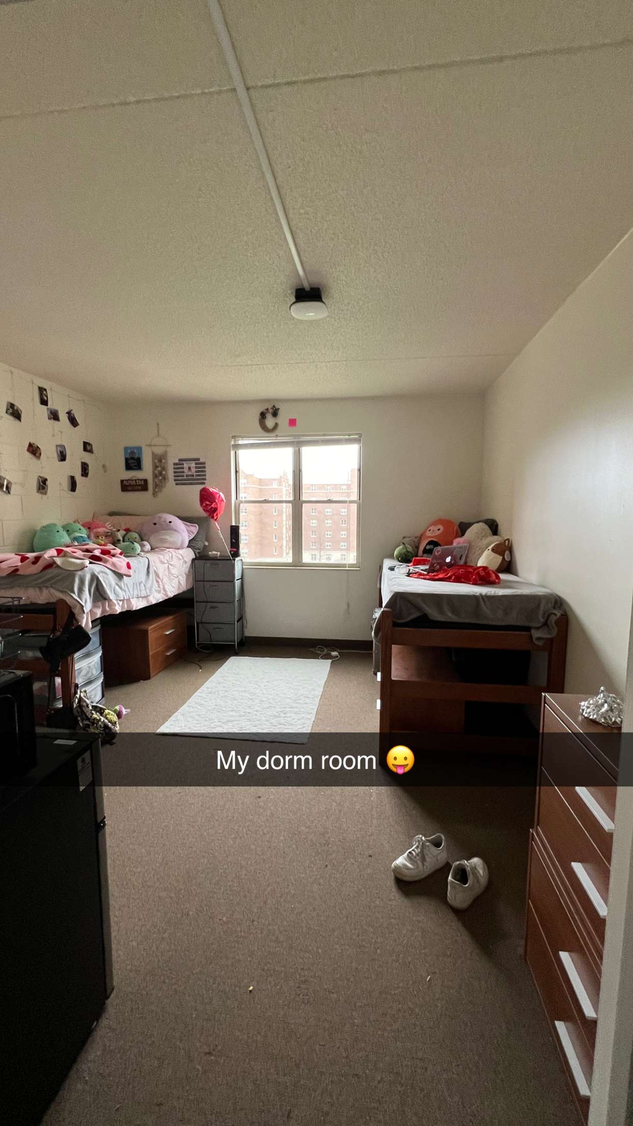 carmmieecat snapchat image archive image