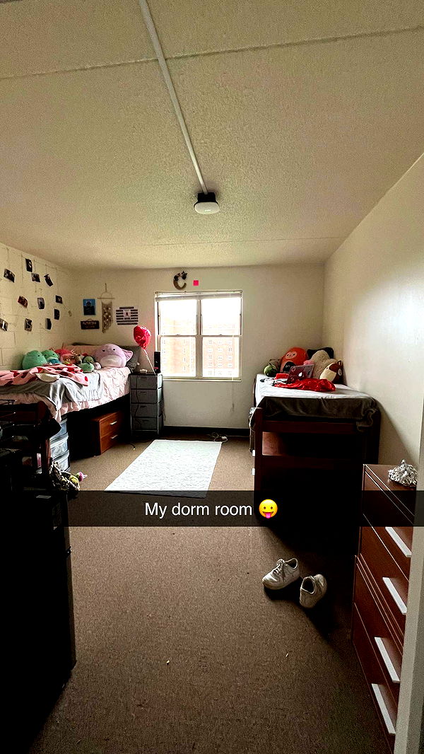 carmmieecat image ~ Altpins