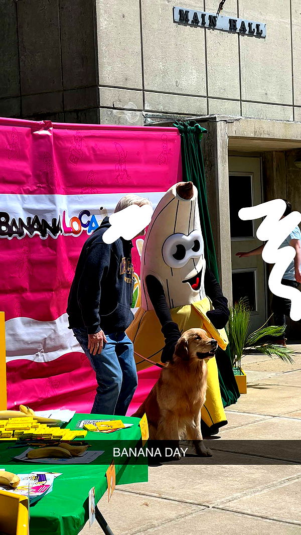 carmmieecat image ~ Altpins