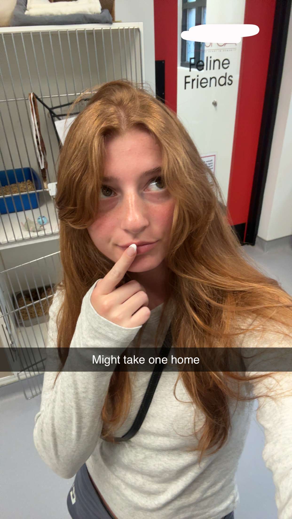 carmmieecat snapchat image archive image