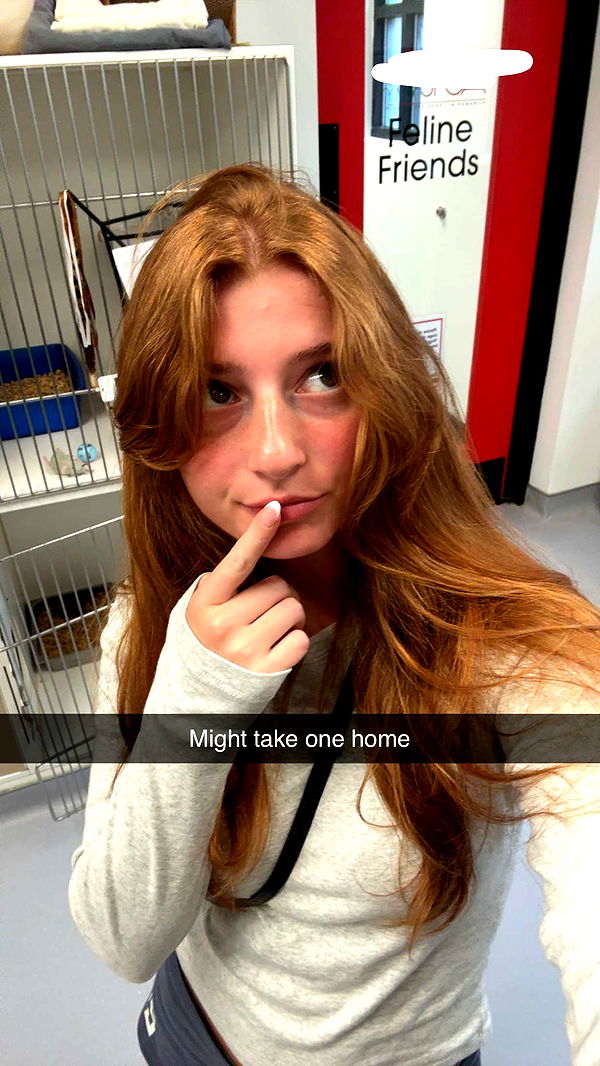 carmmieecat image ~ Altpins