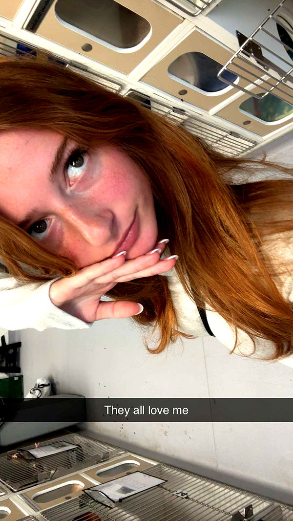 carmmieecat image ~ Altpins