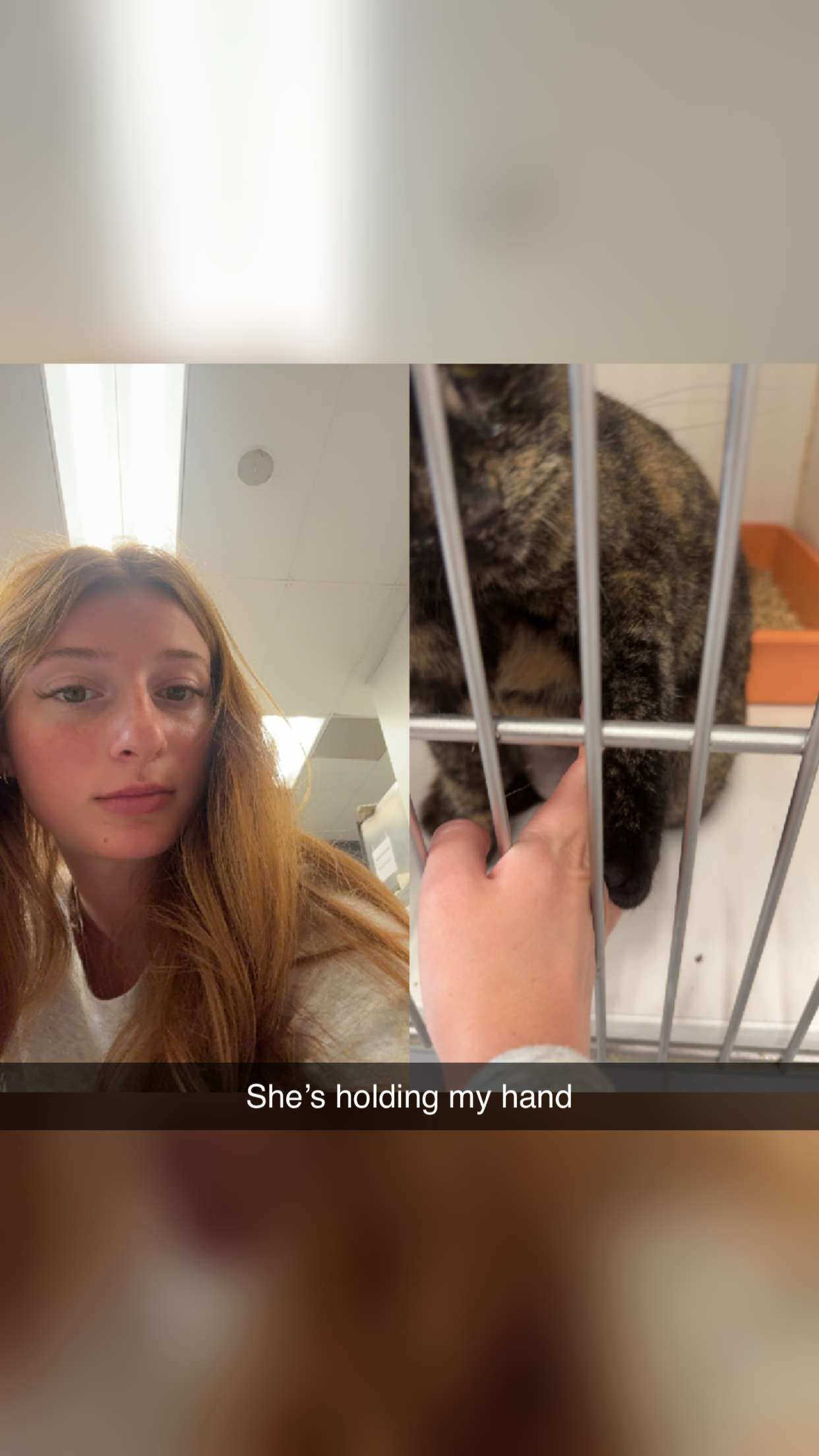 carmmieecat snapchat image archive image