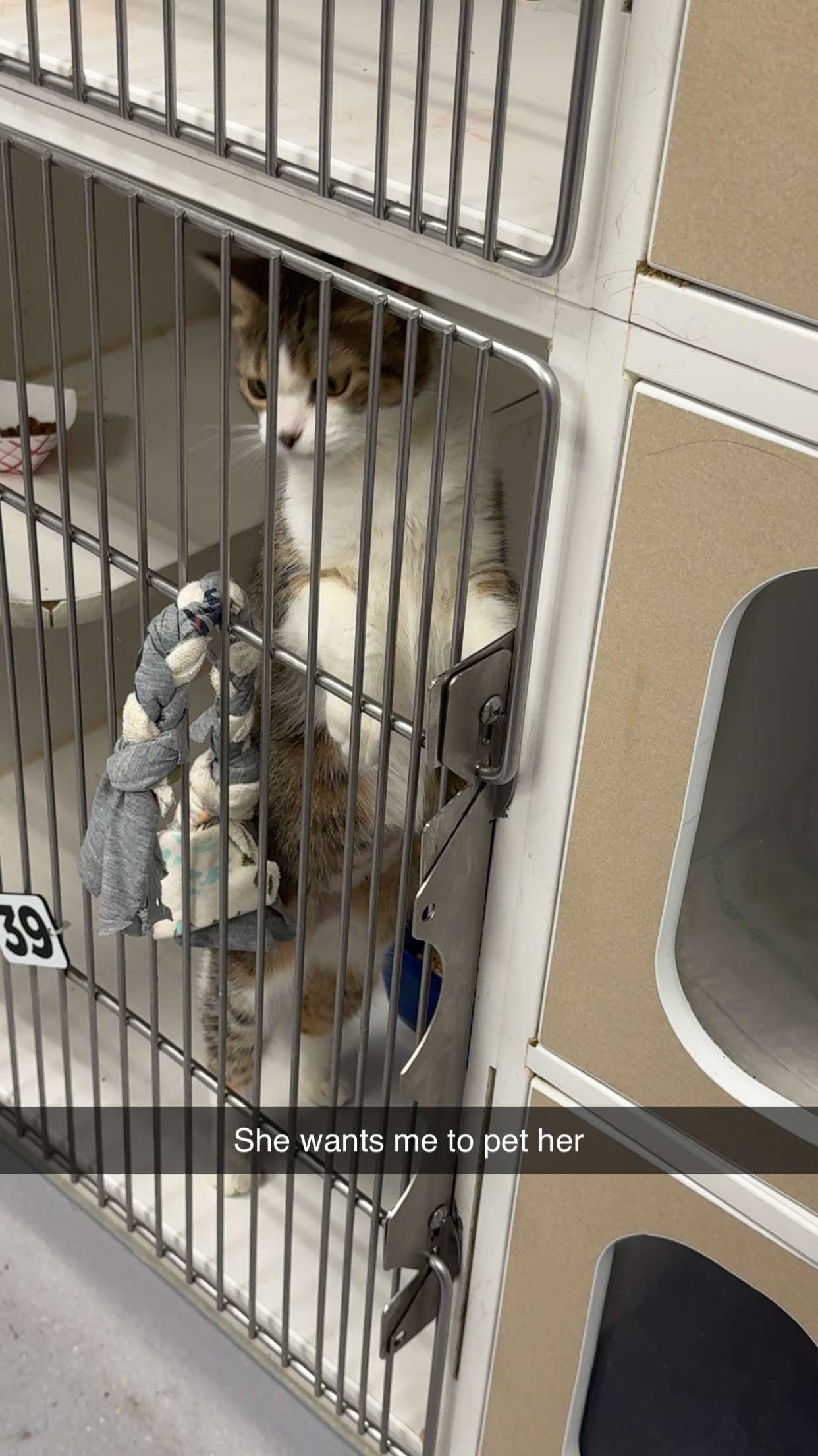 carmmieecat snapchat image archive image