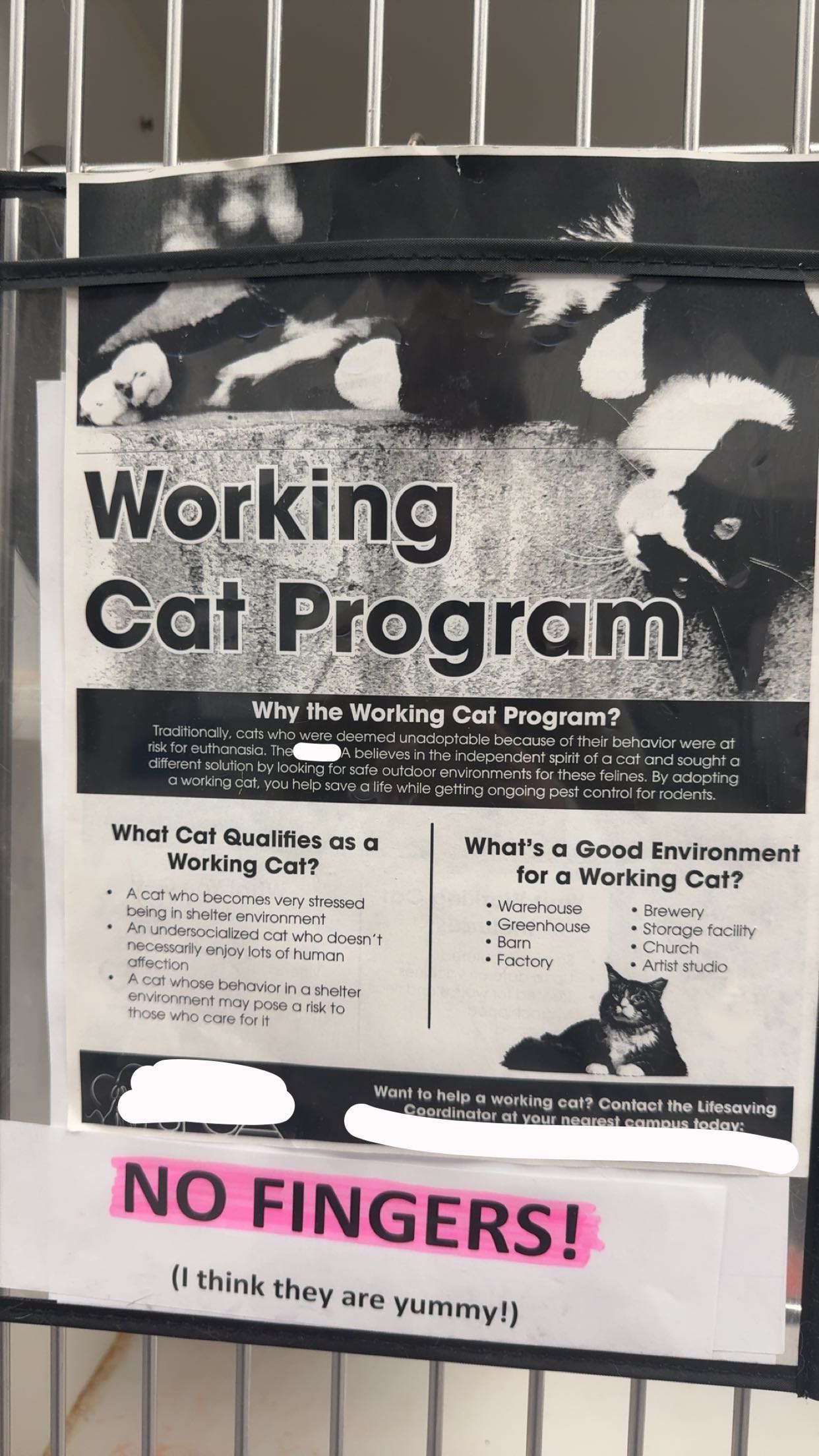 carmmieecat snapchat image archive image