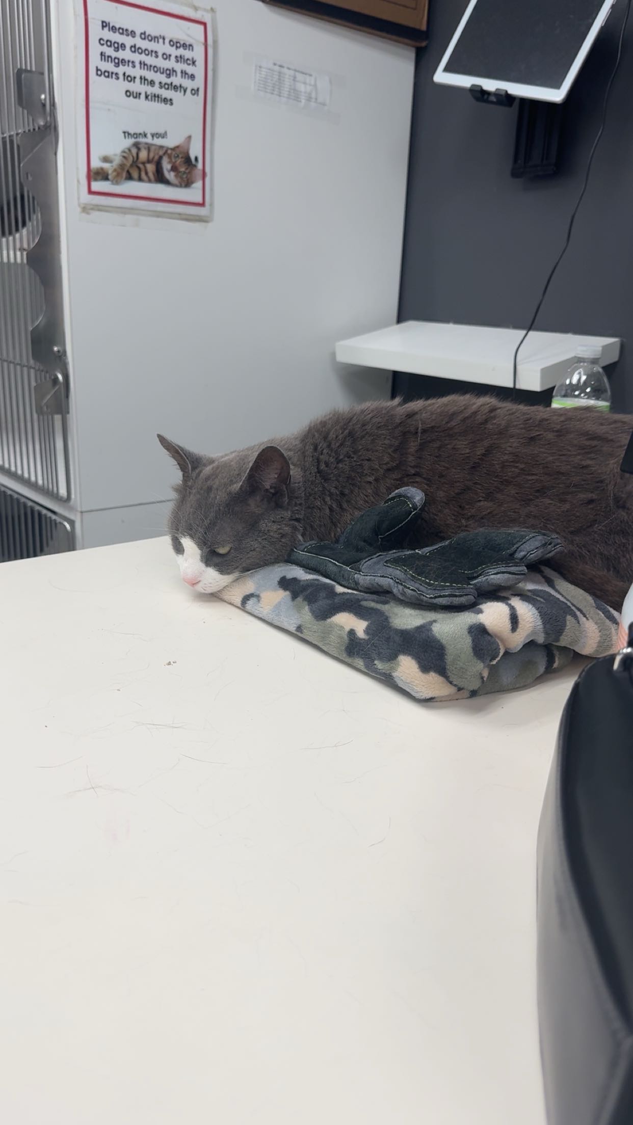 carmmieecat snapchat image archive image