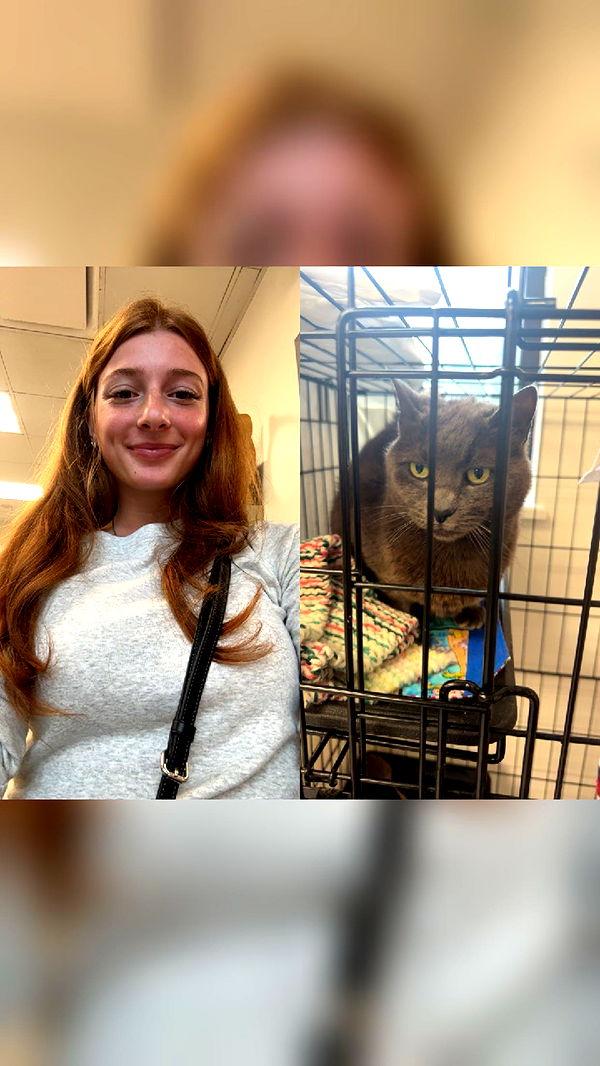 carmmieecat image ~ Altpins