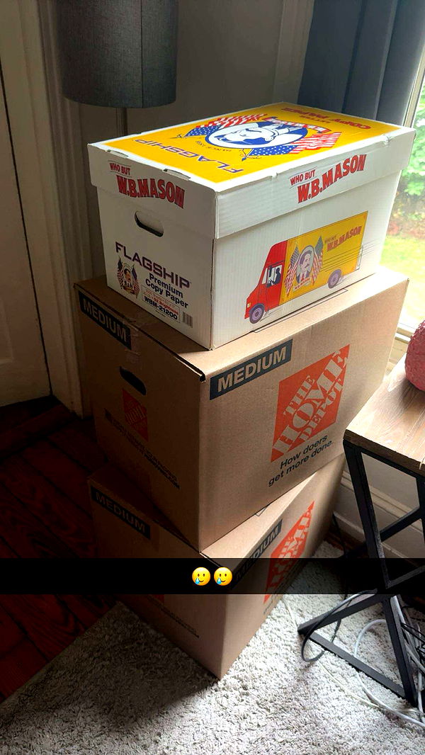 carmmieecat image ~ Altpins