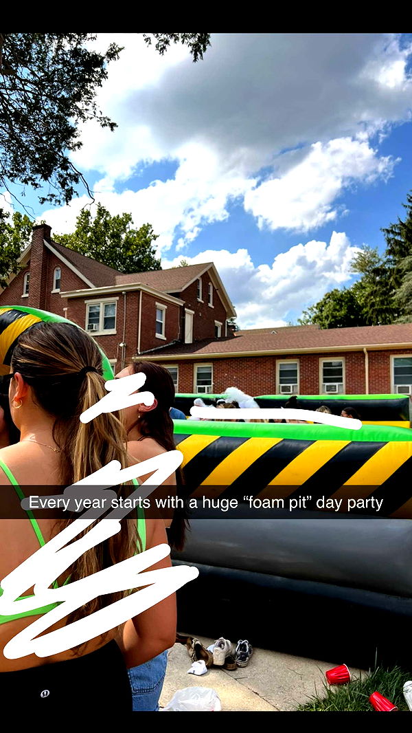 carmmieecat image ~ Altpins