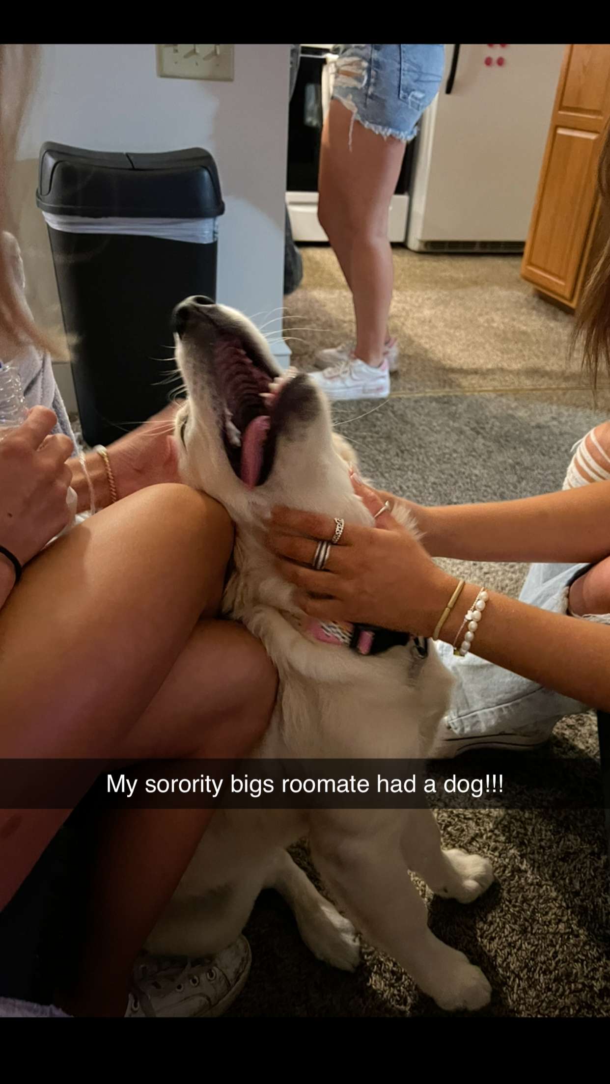 carmmieecat snapchat image archive image