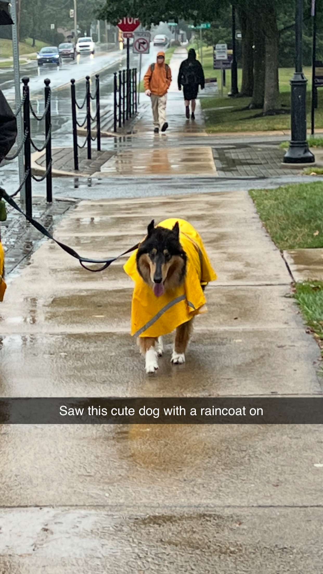 carmmieecat snapchat image archive image