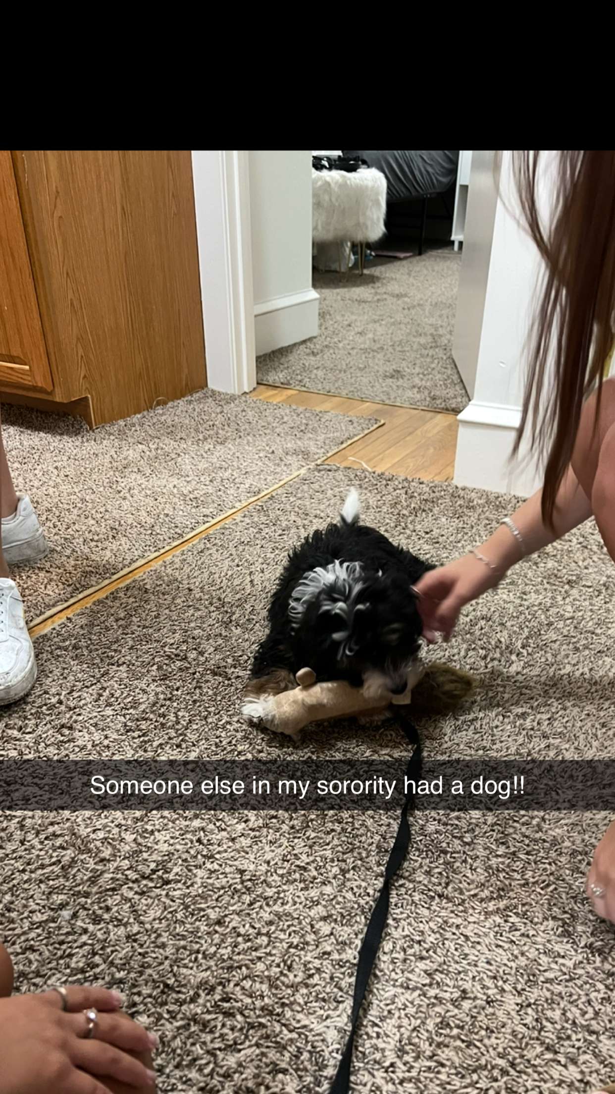 carmmieecat snapchat image archive image