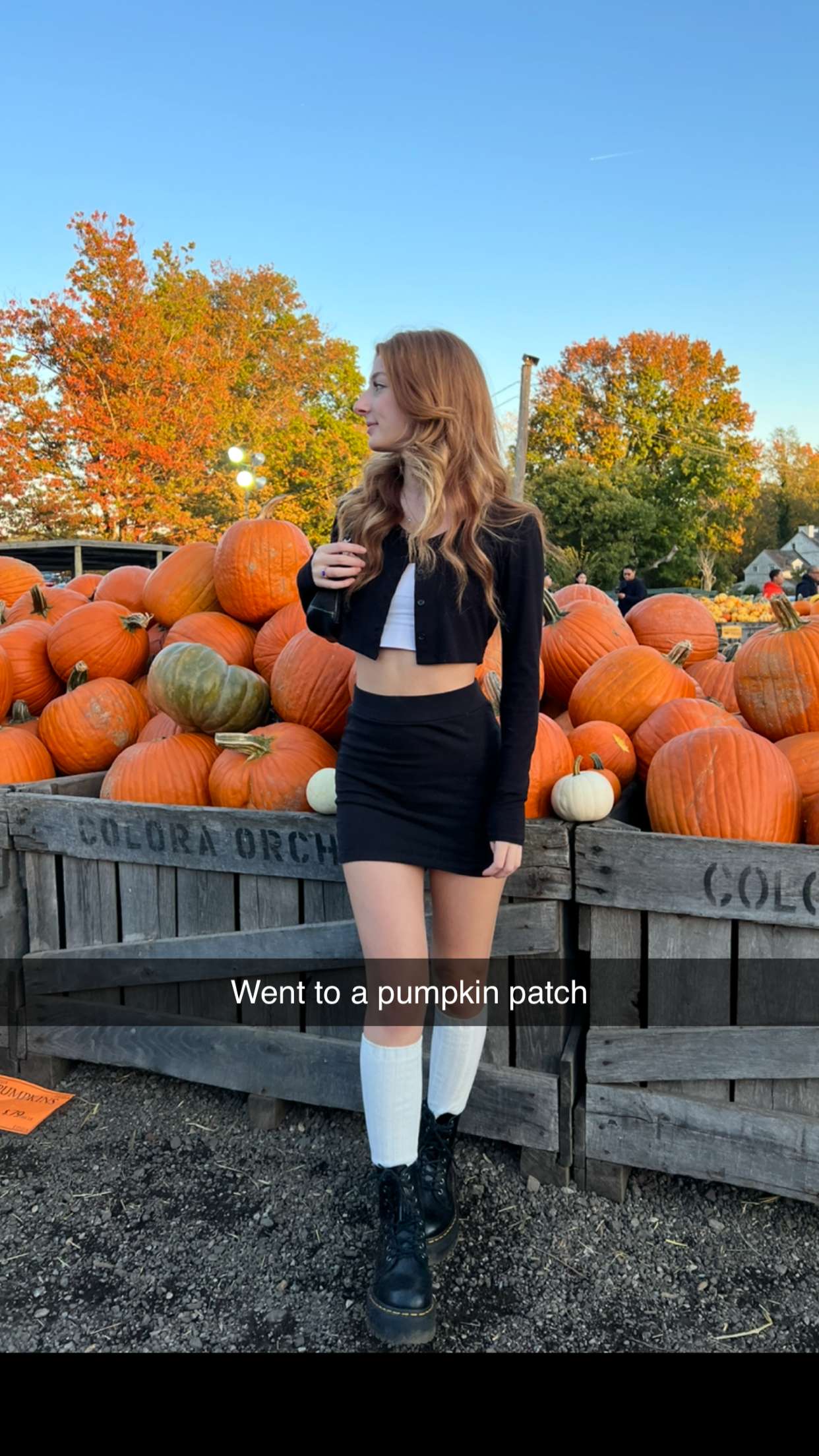 carmmieecat snapchat image archive image