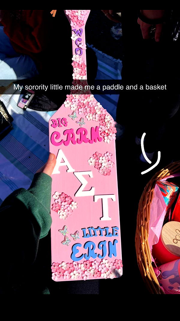 carmmieecat image ~ Altpins