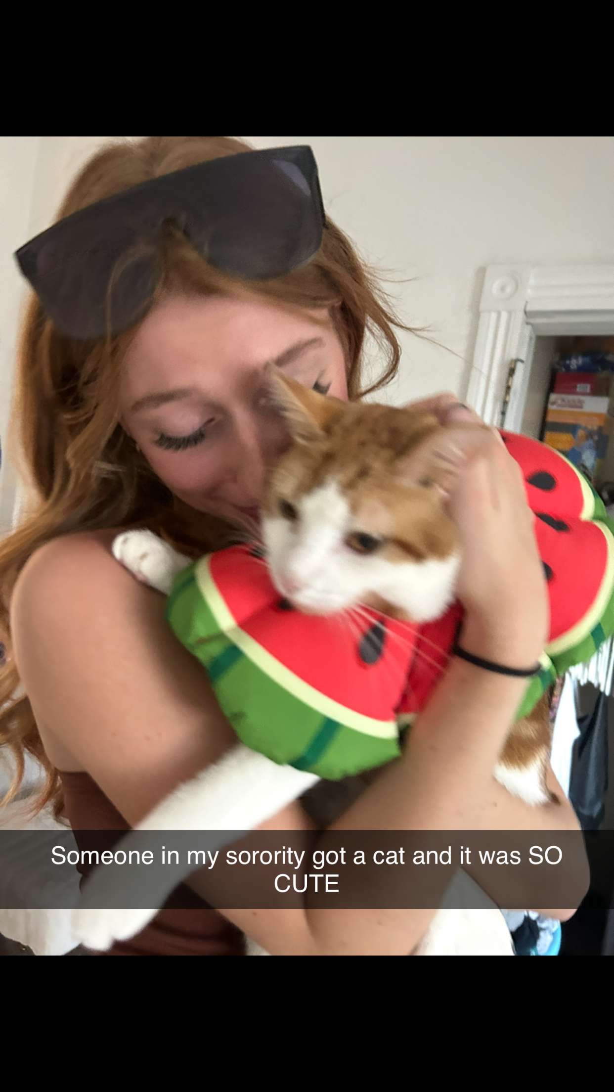 carmmieecat snapchat image archive image
