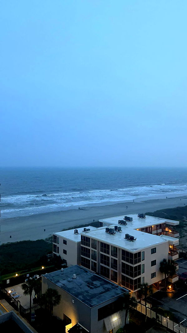 carmmieecat image ~ Altpins