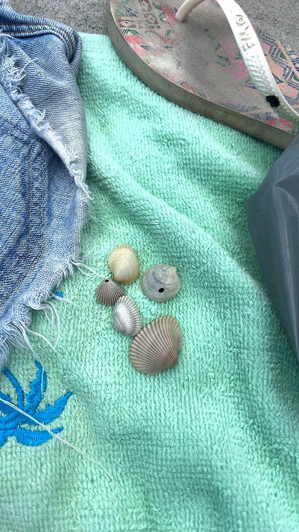 carmmieecat image ~ Altpins