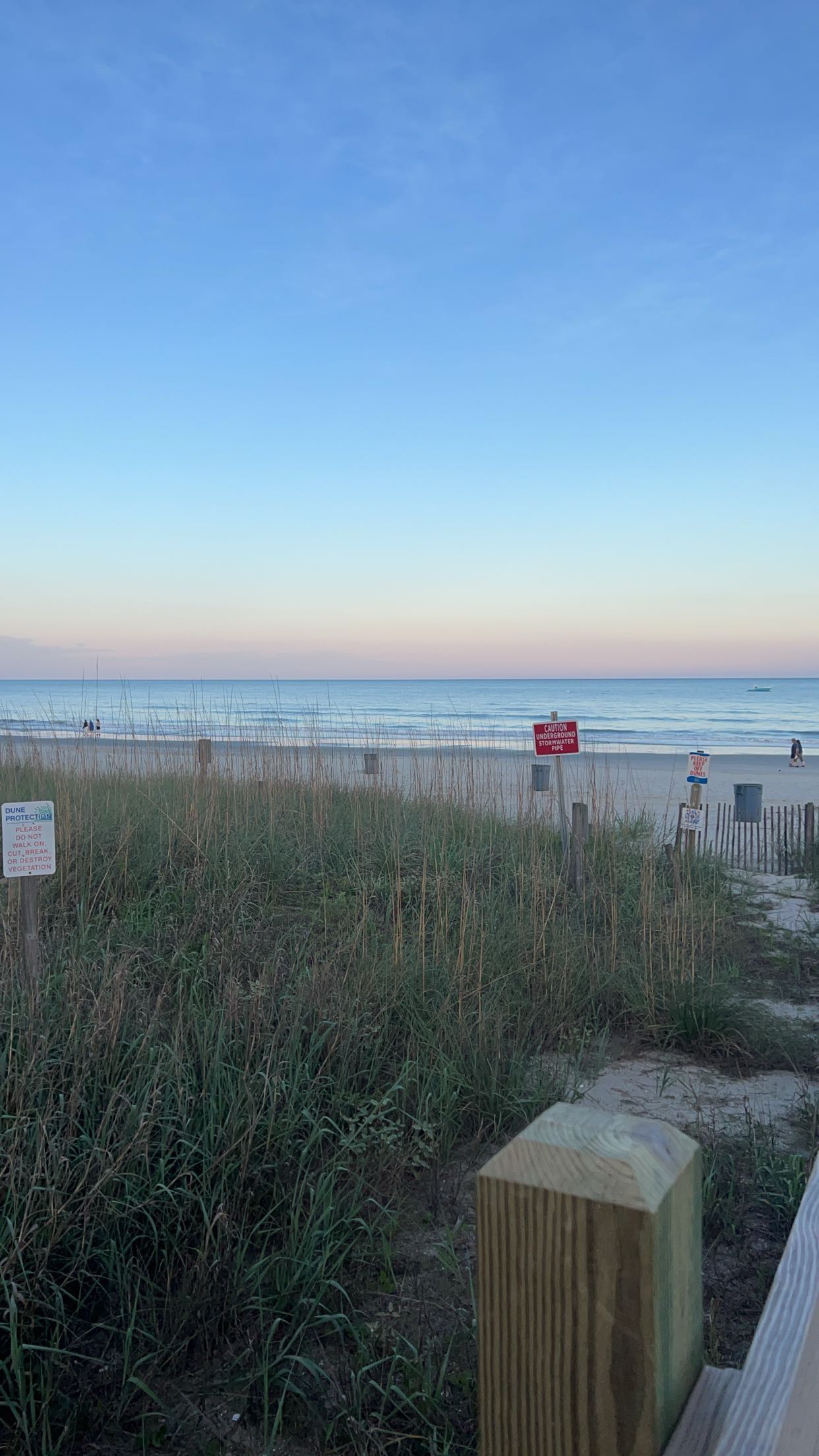 carmmieecat snapchat image archive image