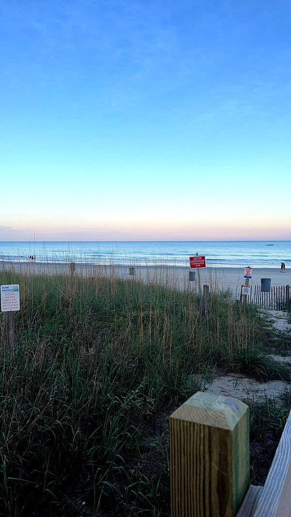 carmmieecat image ~ Altpins