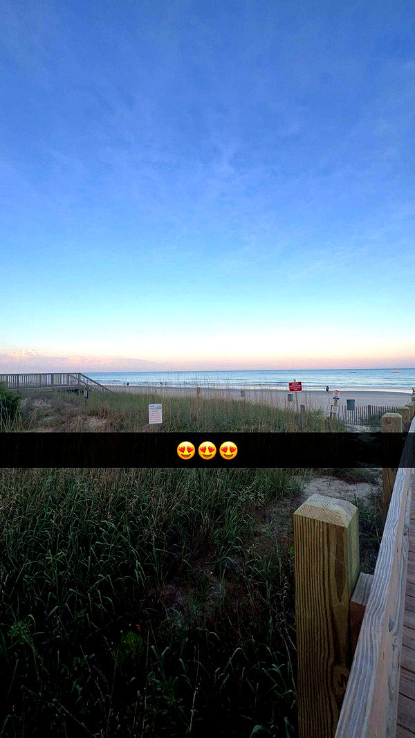 carmmieecat image ~ Altpins