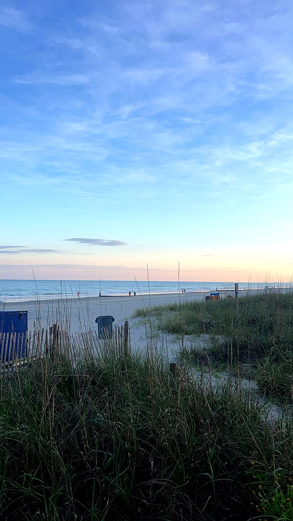 carmmieecat image ~ Altpins