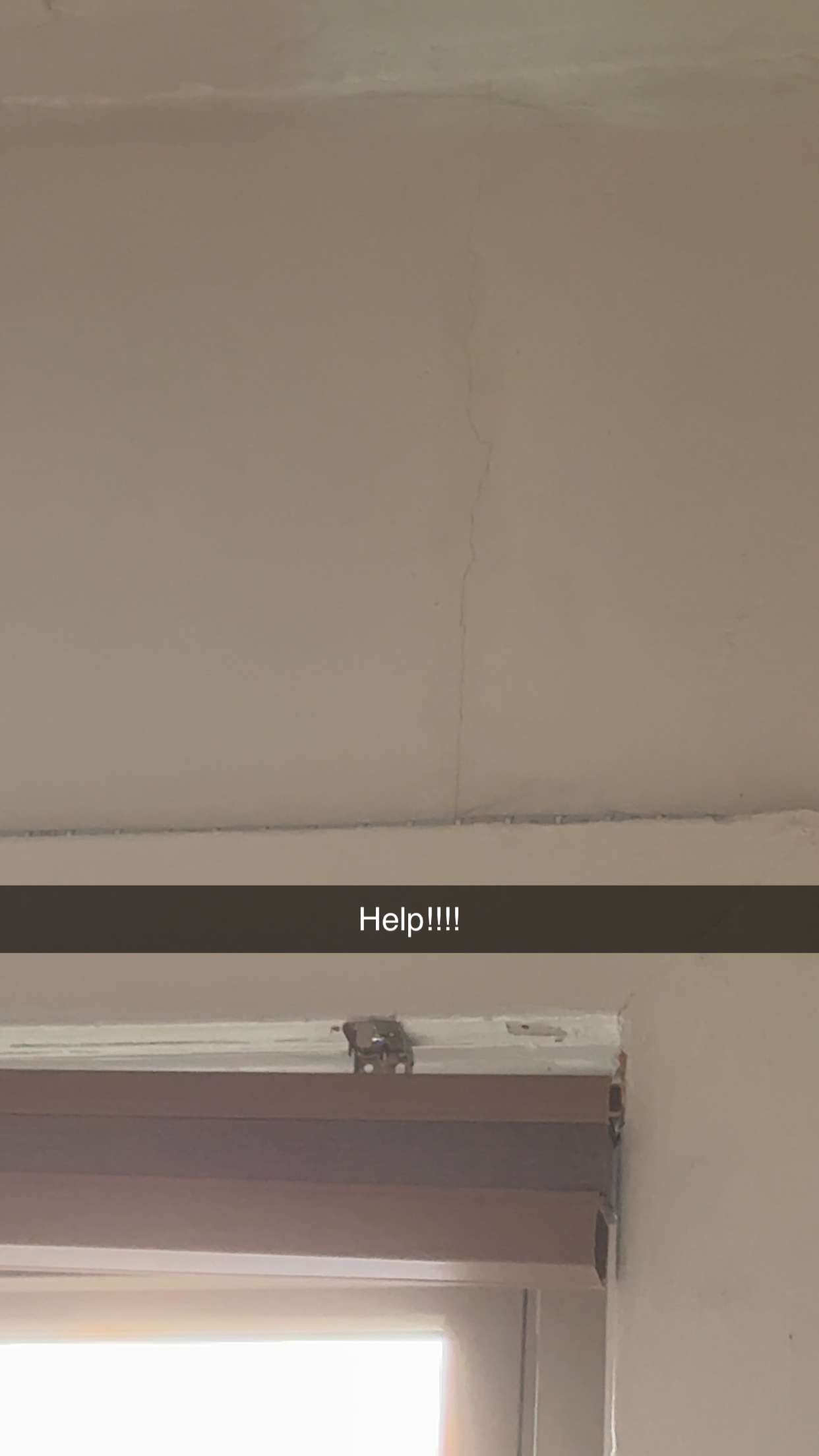 carmmieecat snapchat image archive image