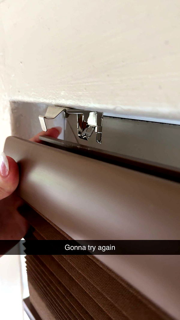 carmmieecat image ~ Altpins