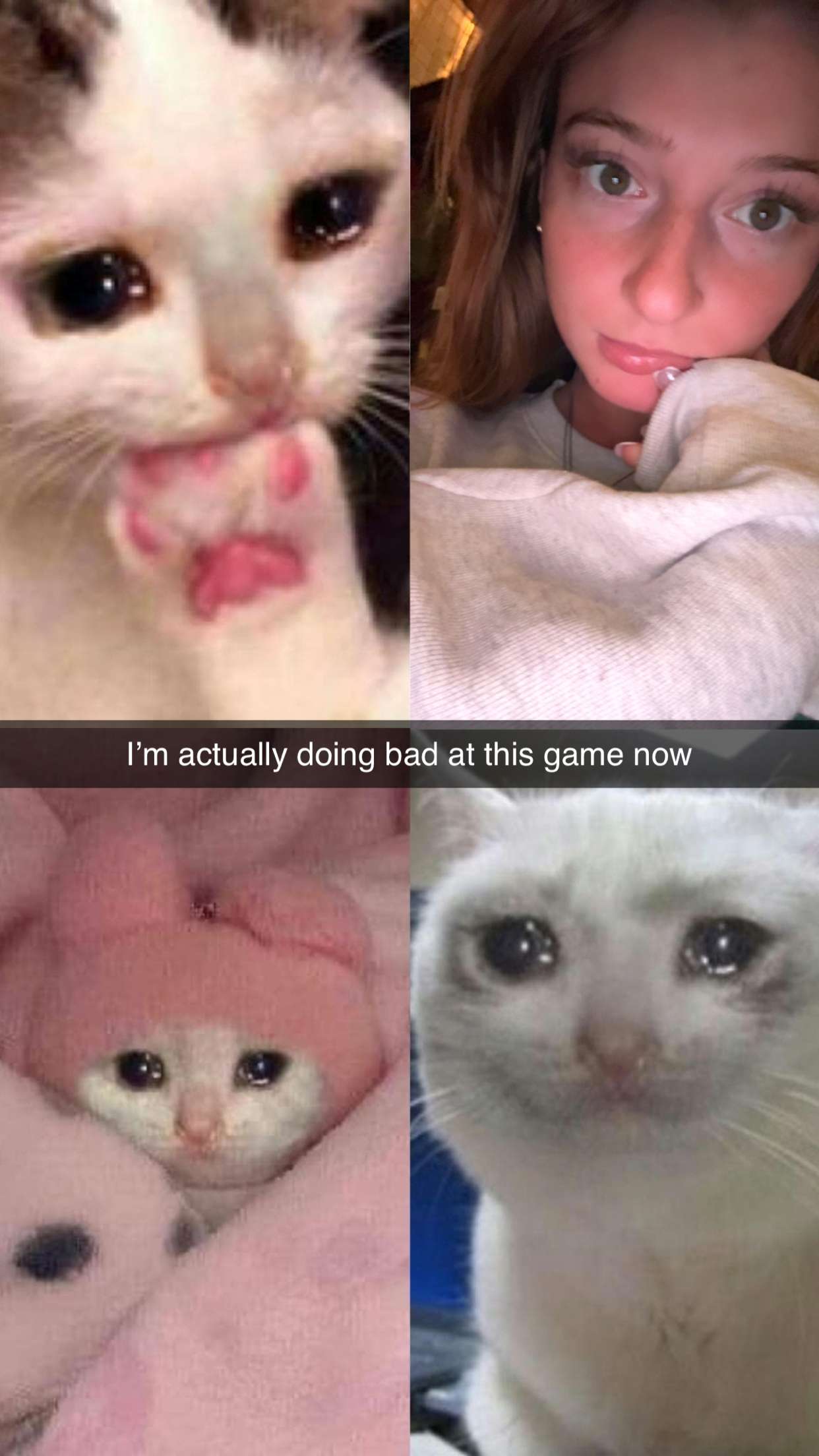 carmmieecat snapchat image archive image