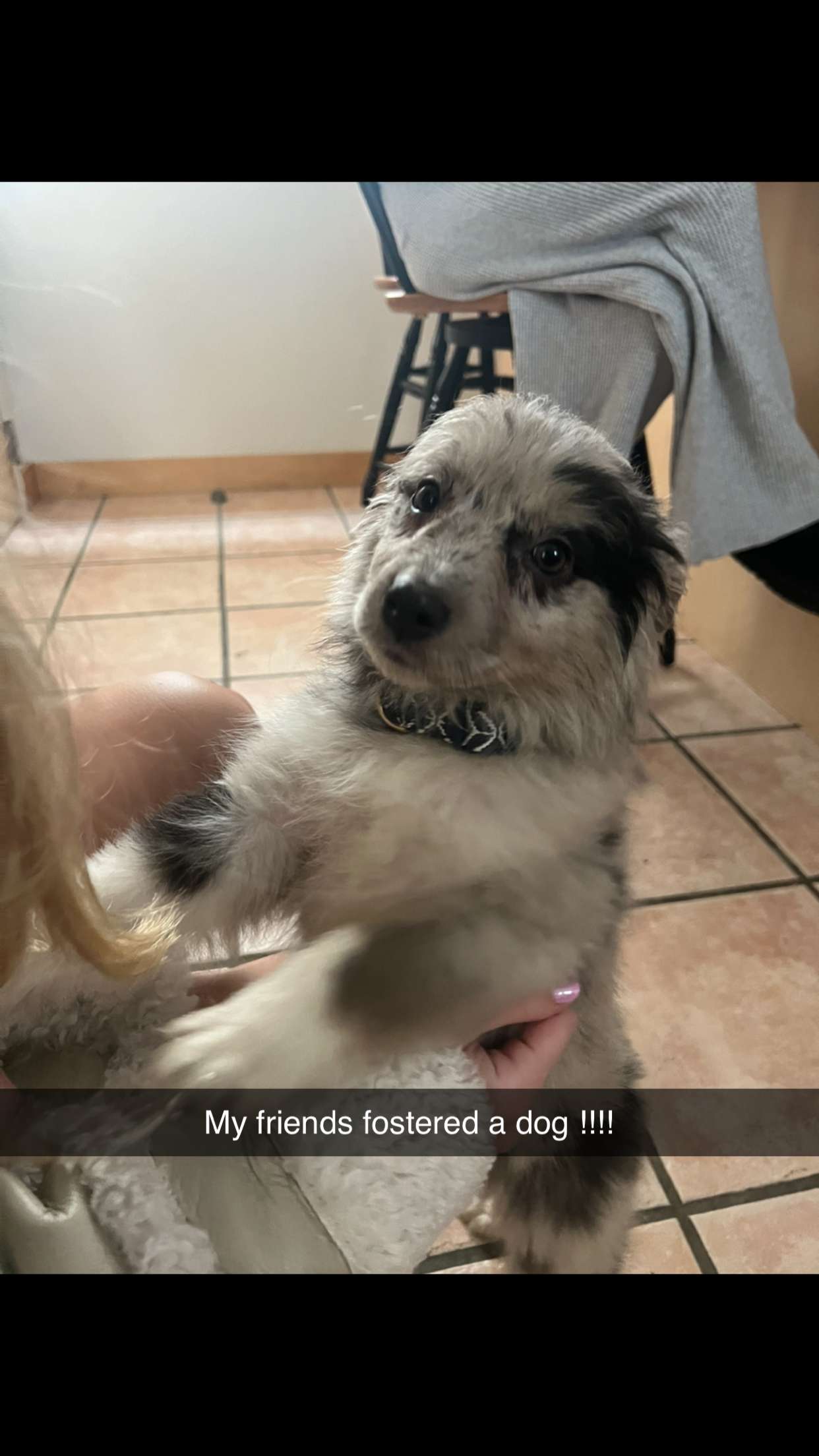 carmmieecat snapchat image archive image