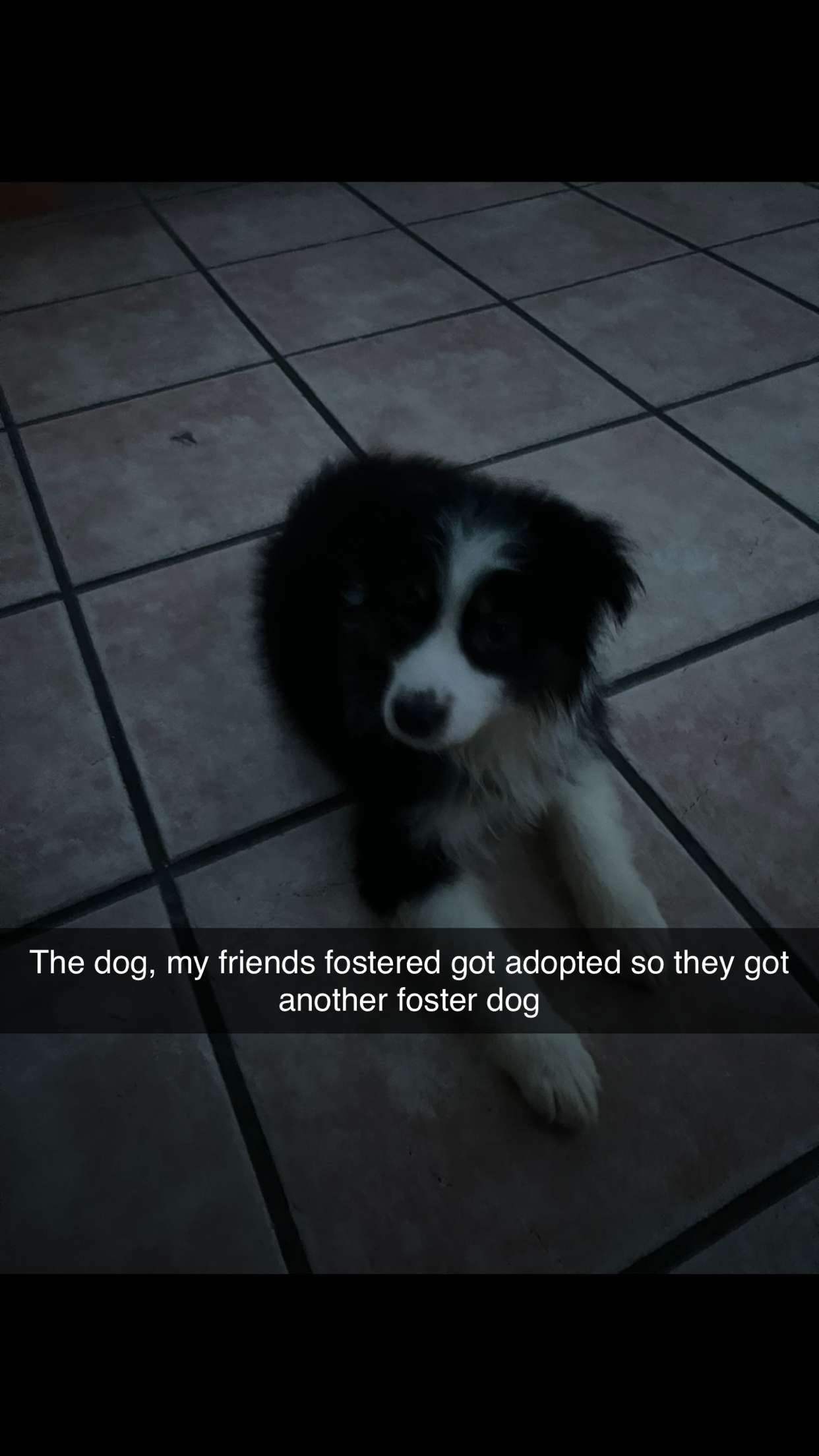 carmmieecat snapchat image archive image