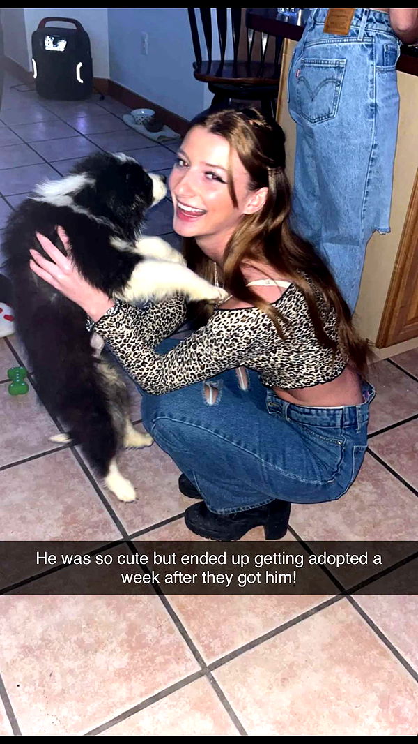 carmmieecat image ~ Altpins