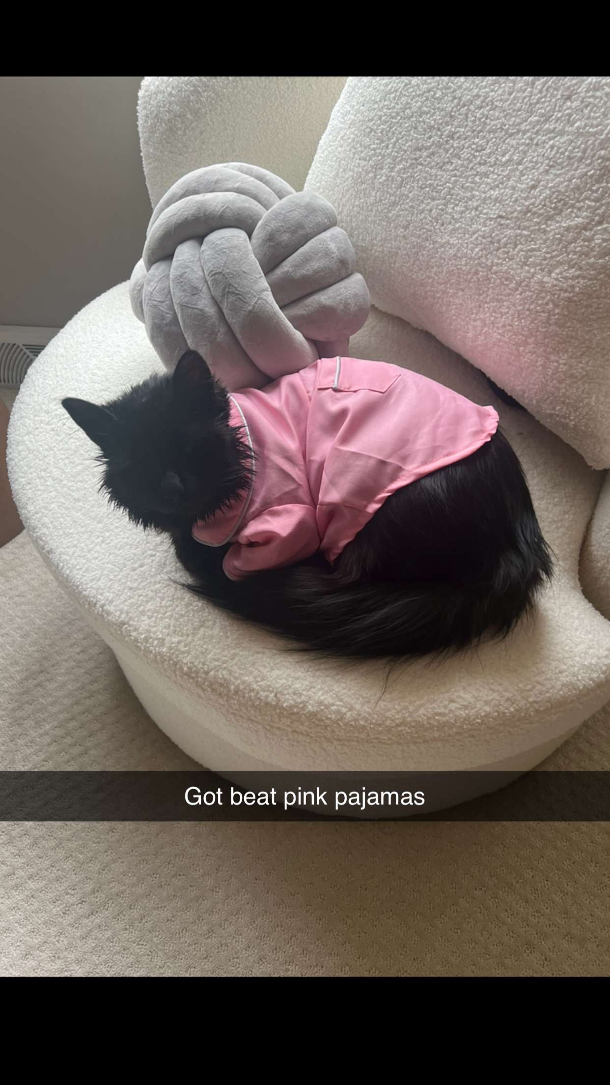 carmmieecat snapchat image archive image