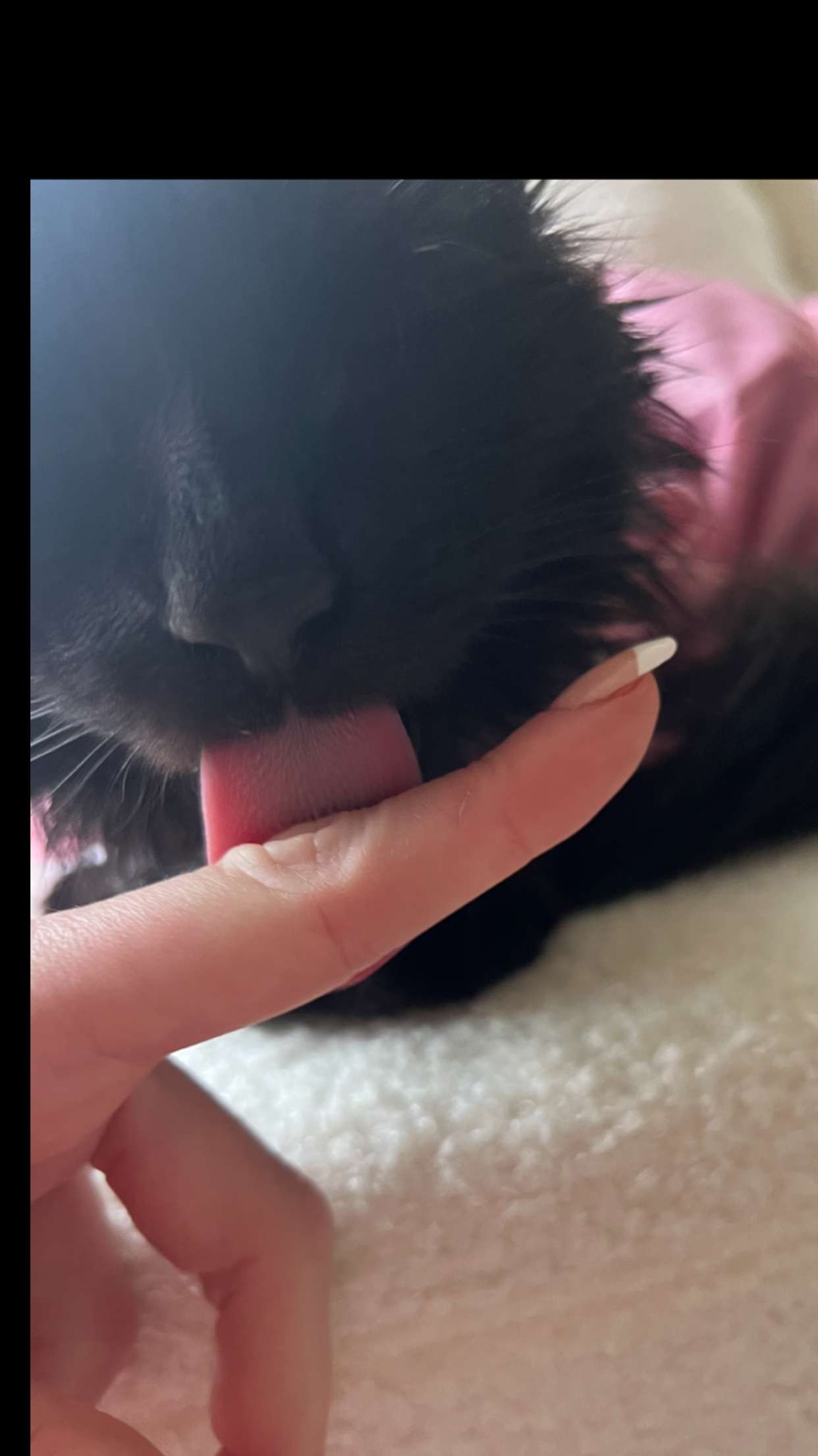 carmmieecat snapchat image archive image