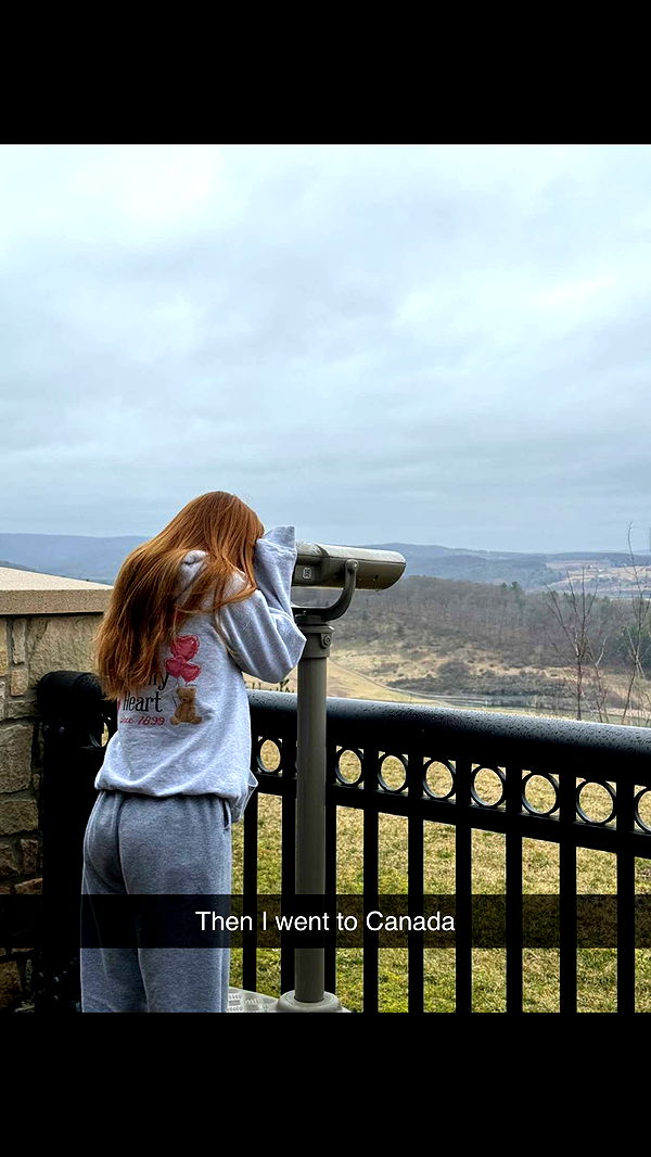 carmmieecat image ~ Altpins