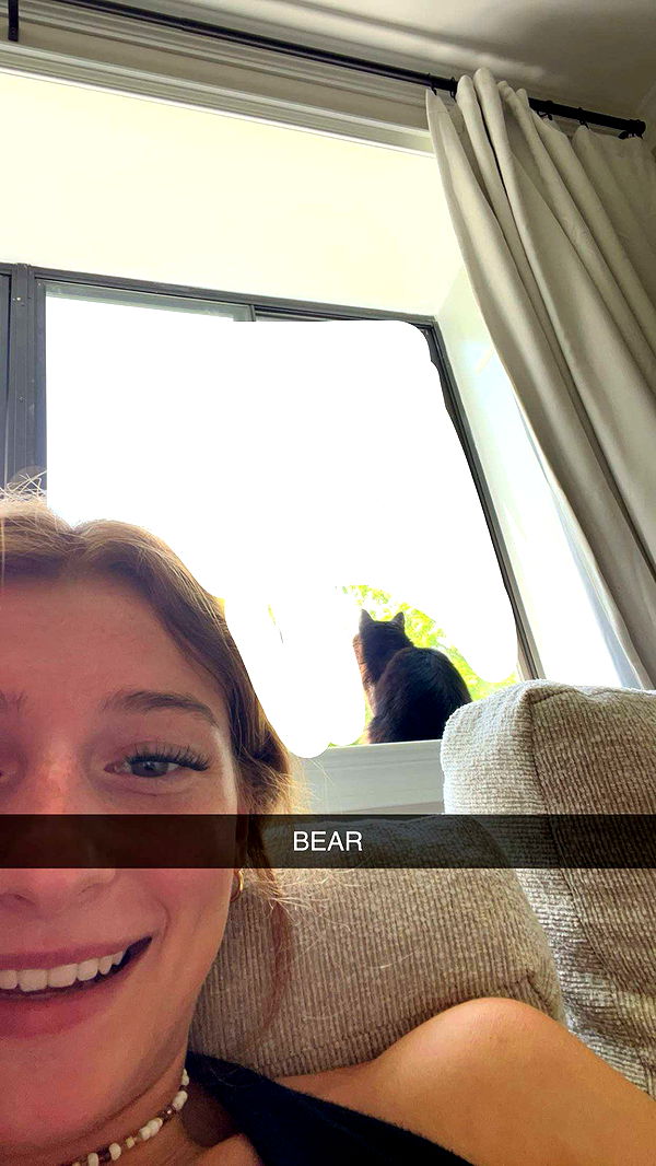 carmmieecat image ~ Altpins