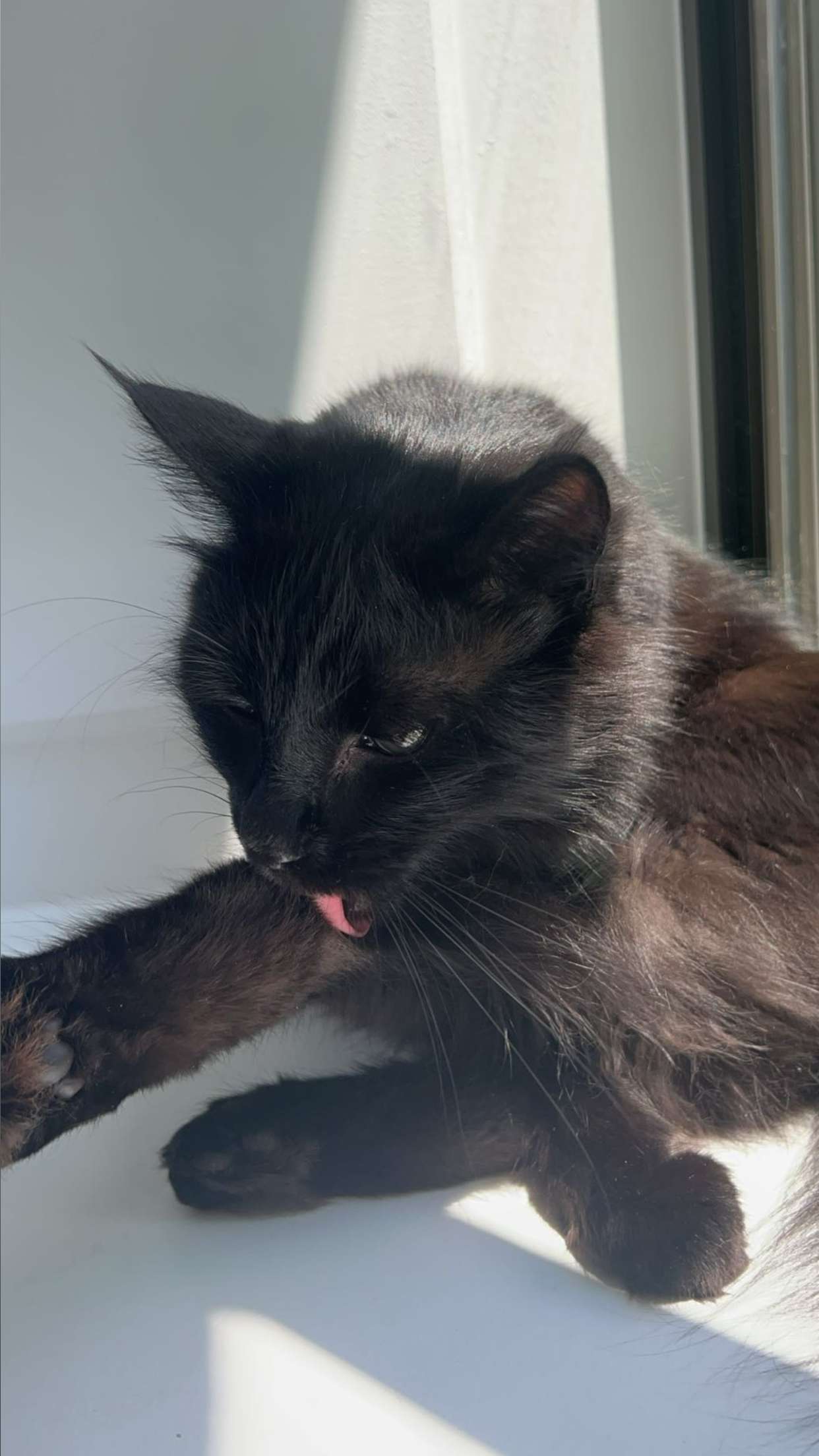 carmmieecat snapchat image archive image