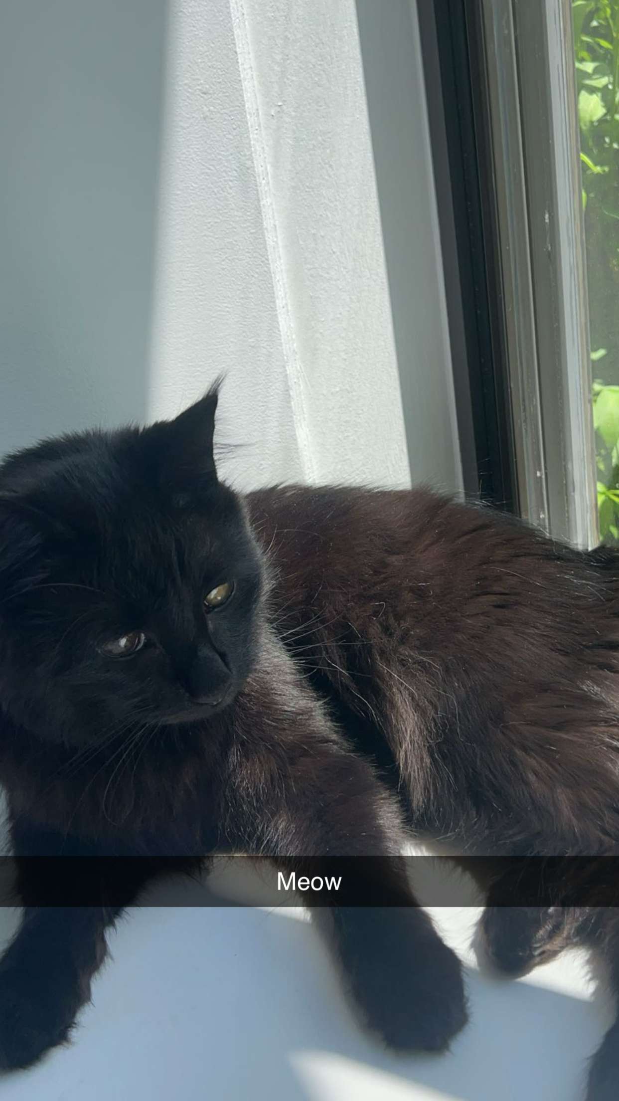 carmmieecat snapchat image archive image