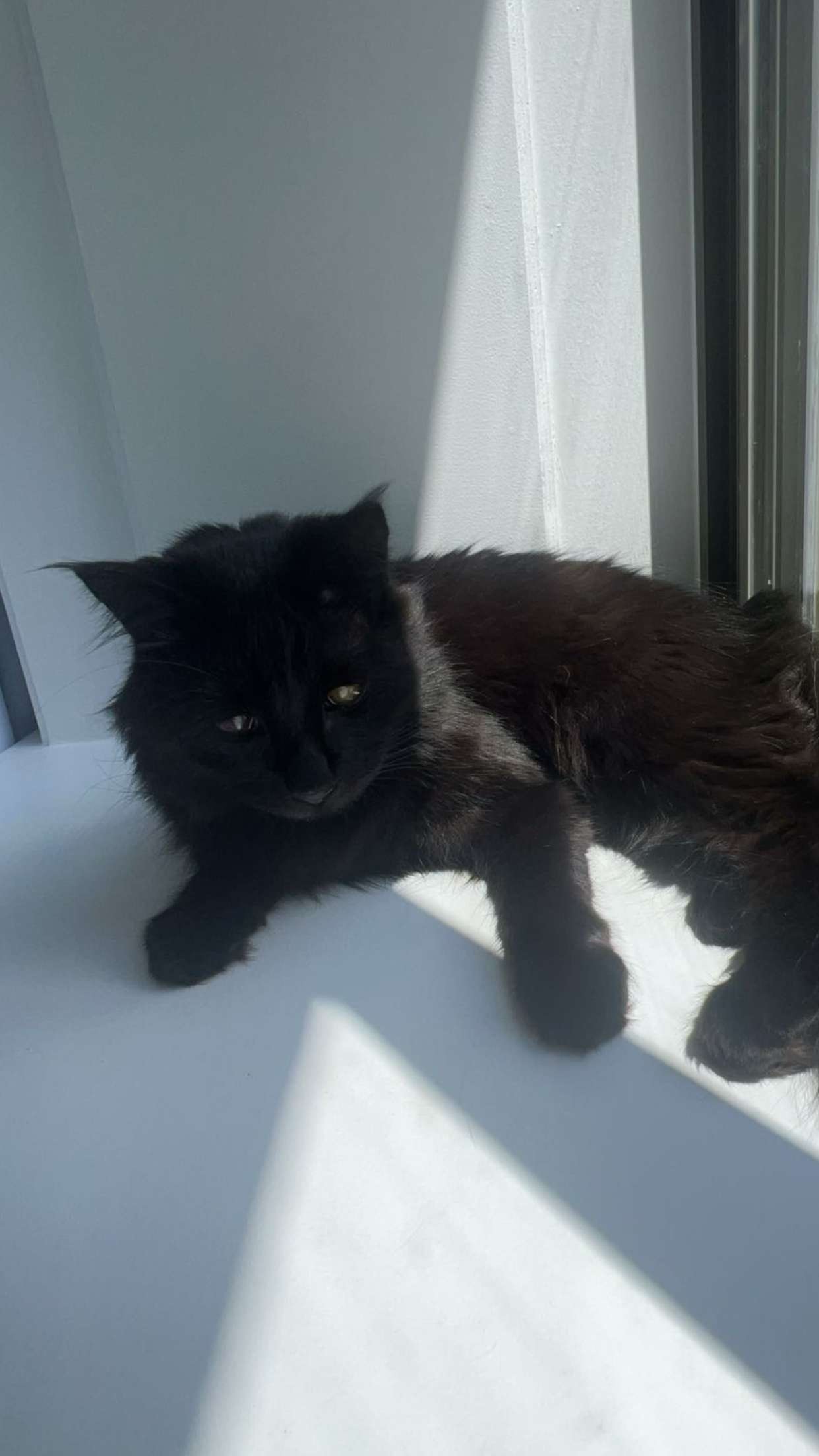 carmmieecat snapchat image archive image