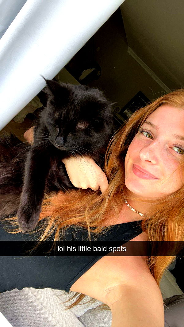 carmmieecat image ~ Altpins