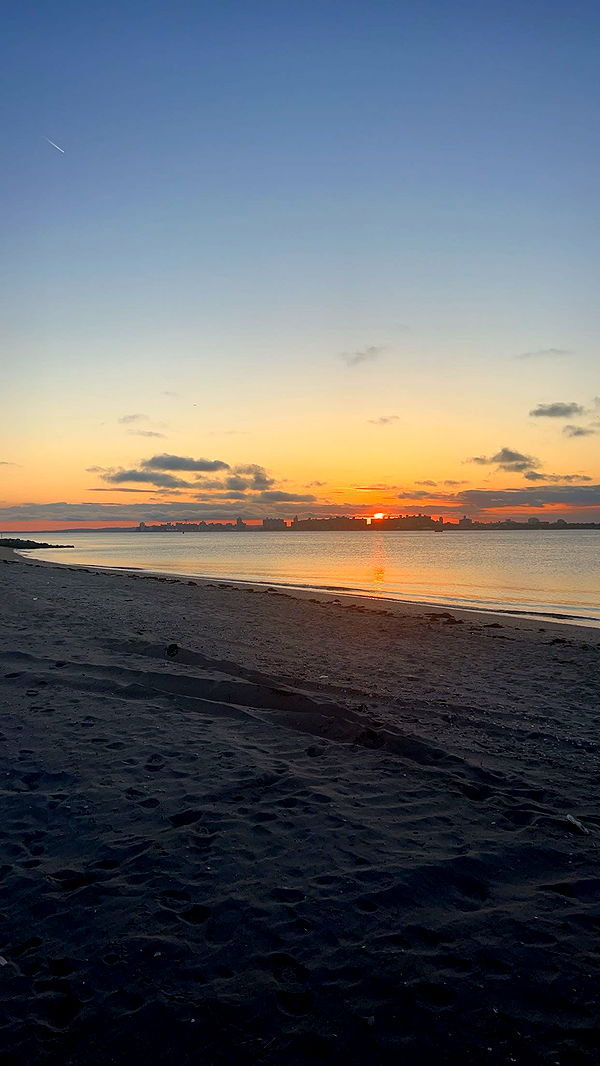 carmmieecat image ~ Altpins