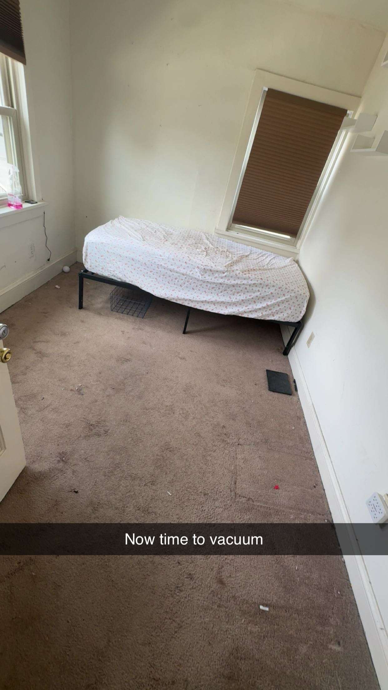 carmmieecat snapchat image archive image