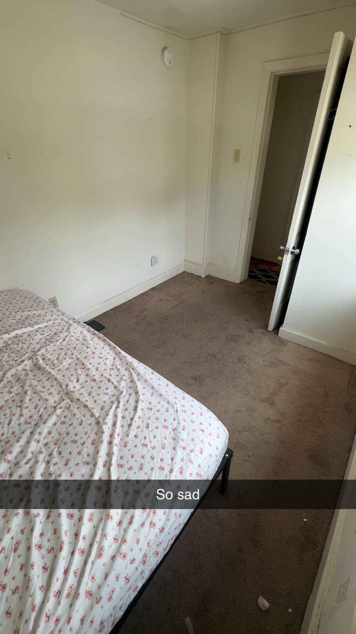 carmmieecat snapchat image archive image