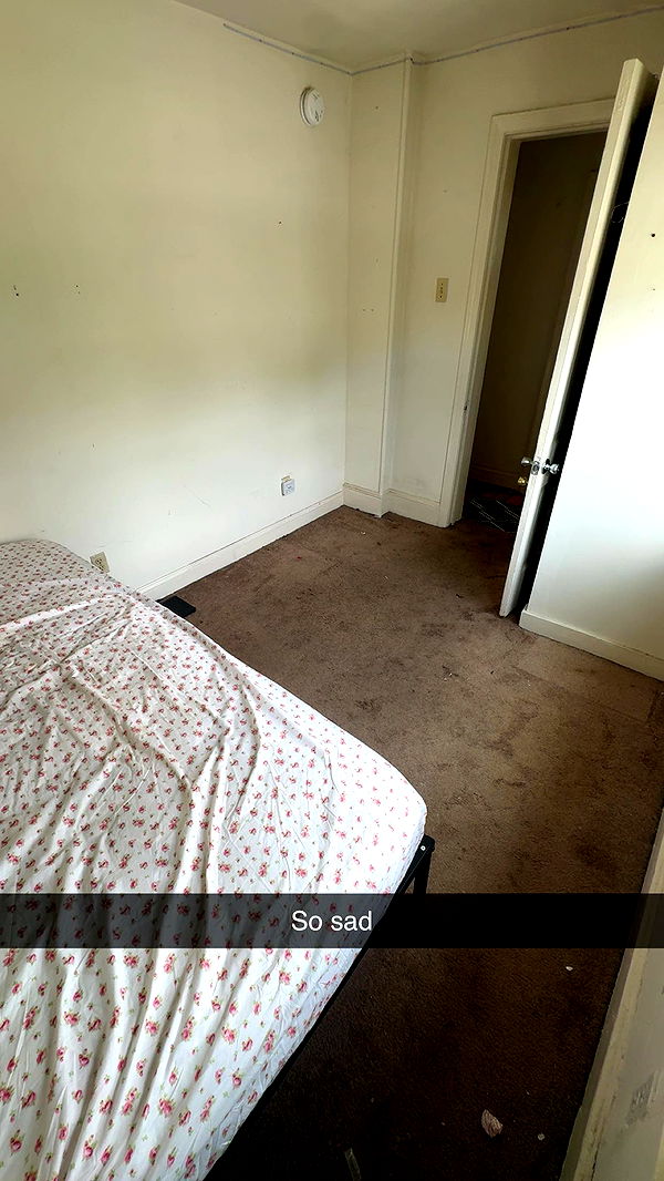 carmmieecat image ~ Altpins