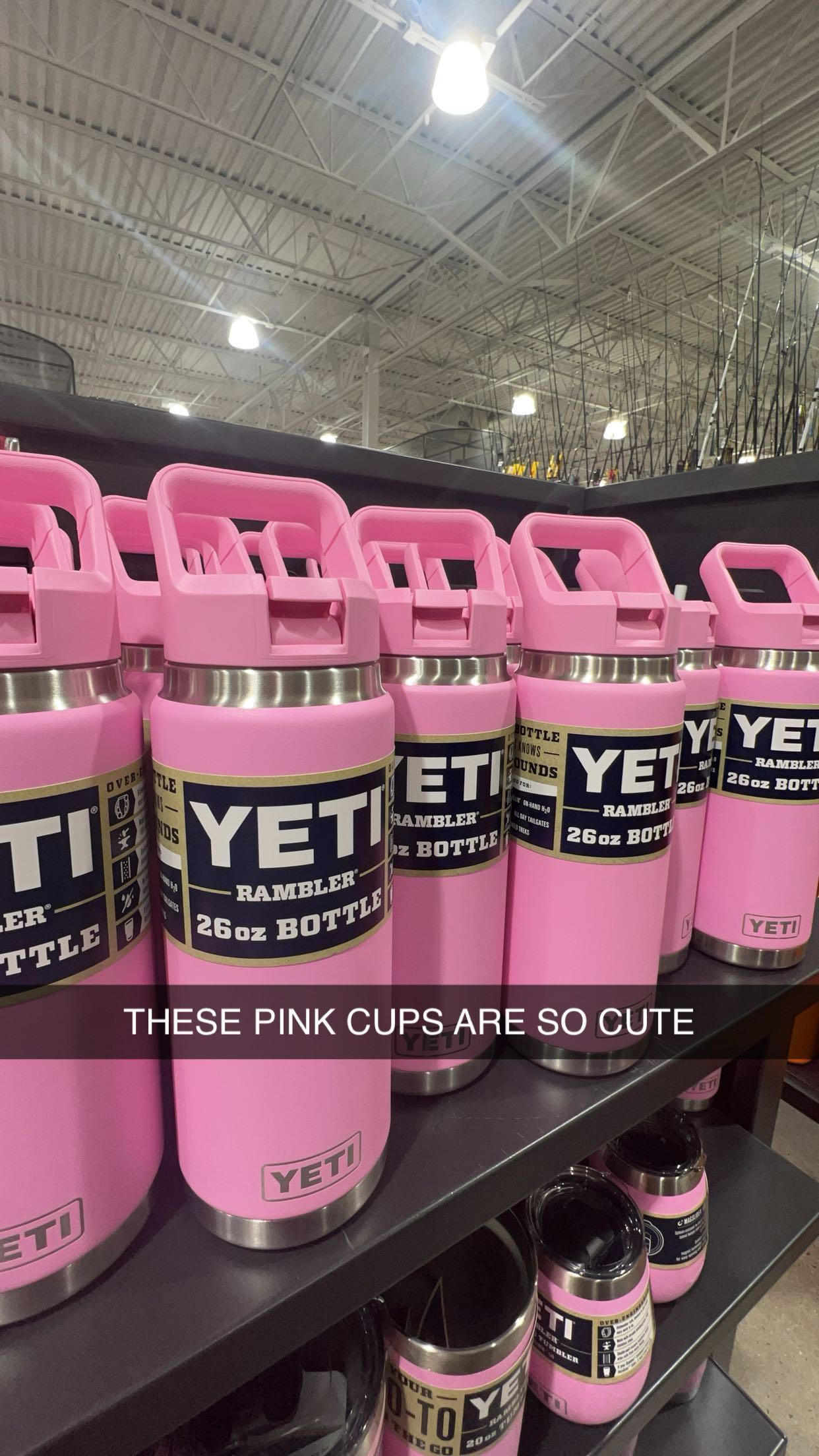 carmmieecat snapchat image archive image